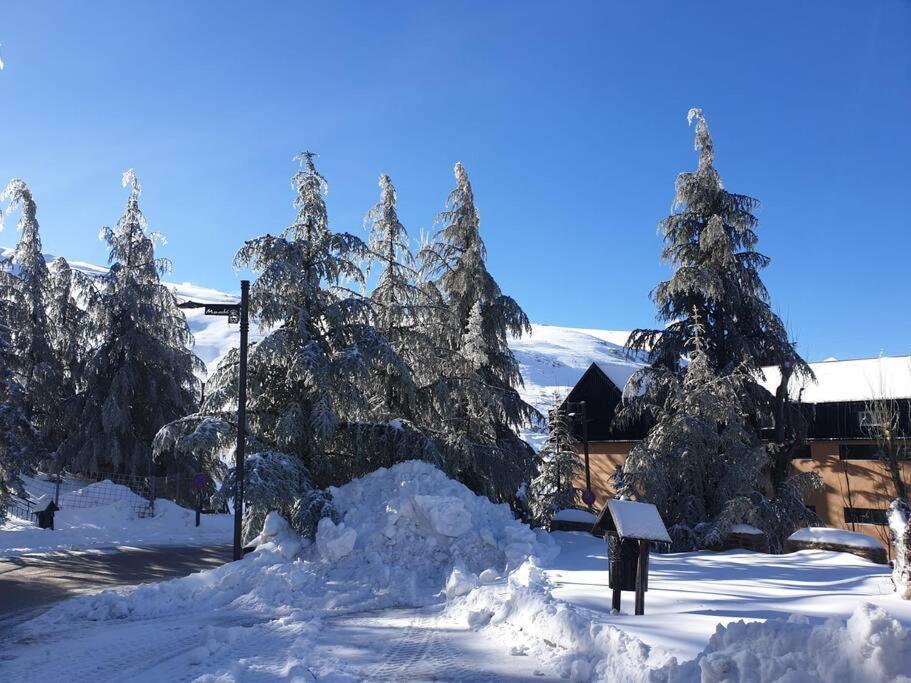 Sierra Nevada 2 Habitaciones Excelente Ubicacion ภายนอก รูปภาพ